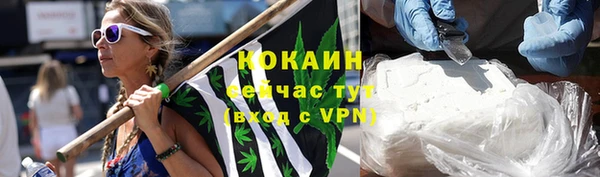 шишки Няндома