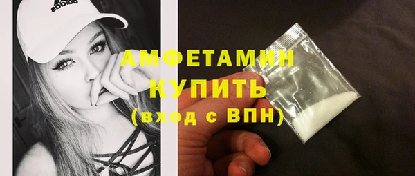 шишки Няндома
