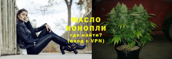 шишки Няндома
