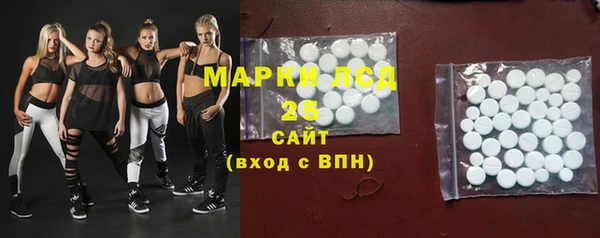 шишки Няндома
