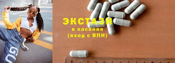 шишки Няндома