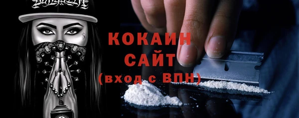 шишки Няндома