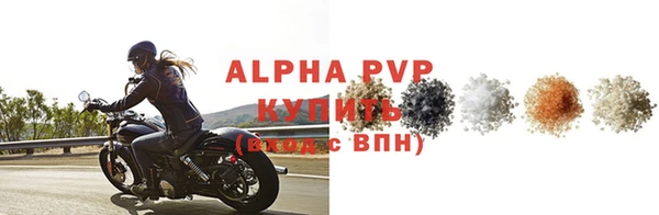 прущие грибы Всеволожск
