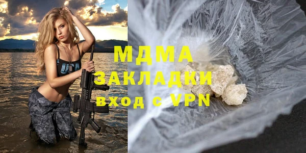 шишки Няндома