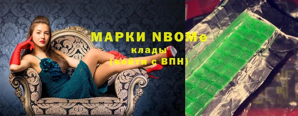 шишки Няндома