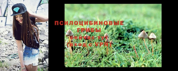 2c-b Нягань