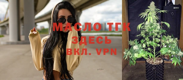 шишки Няндома
